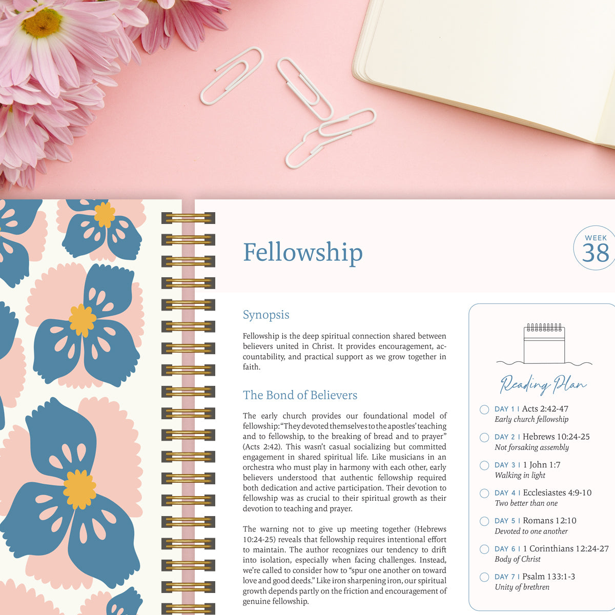 The Bible In A Year: A 52-Week Journey Through God's Word