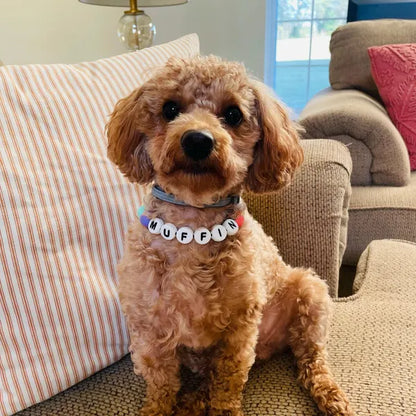 Personalization BFF Dog collar+ free Matching Bracelet