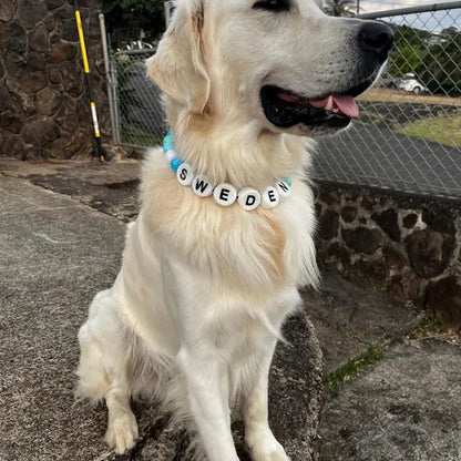 Personalization BFF Dog collar+ free Matching Bracelet