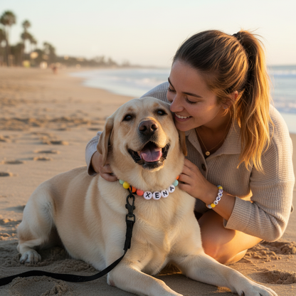Tears of the Rainbow- Personalization BFF Dog Collar+ Free Matching Bracelet