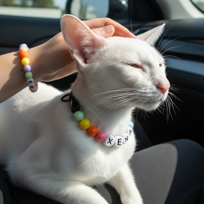 Tears of the Rainbow- Personalization BFF Dog Collar+ Free Matching Bracelet