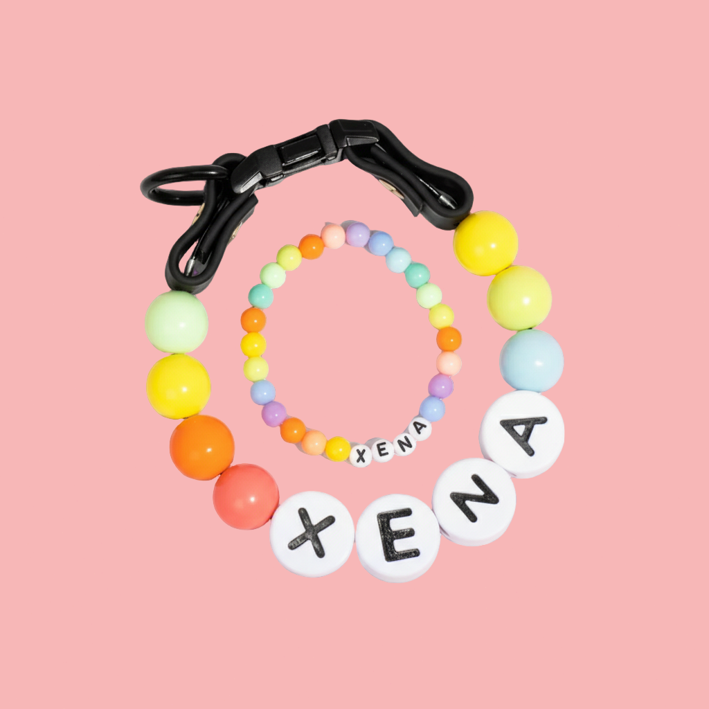 BFF Collar+ Free Matching Bracelet