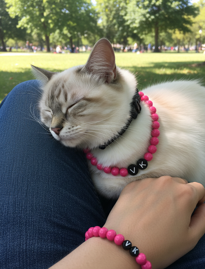 Pink Glam - Personalization BFF Dog Collar+ Free Matching Bracelet