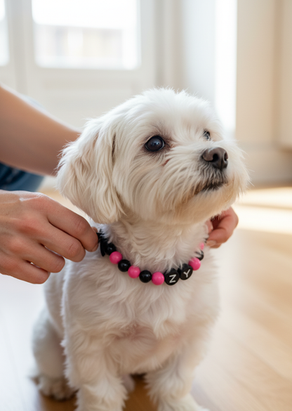 BlackPink_Personalization BFF Dog Collar+ Free Matching Bracelet