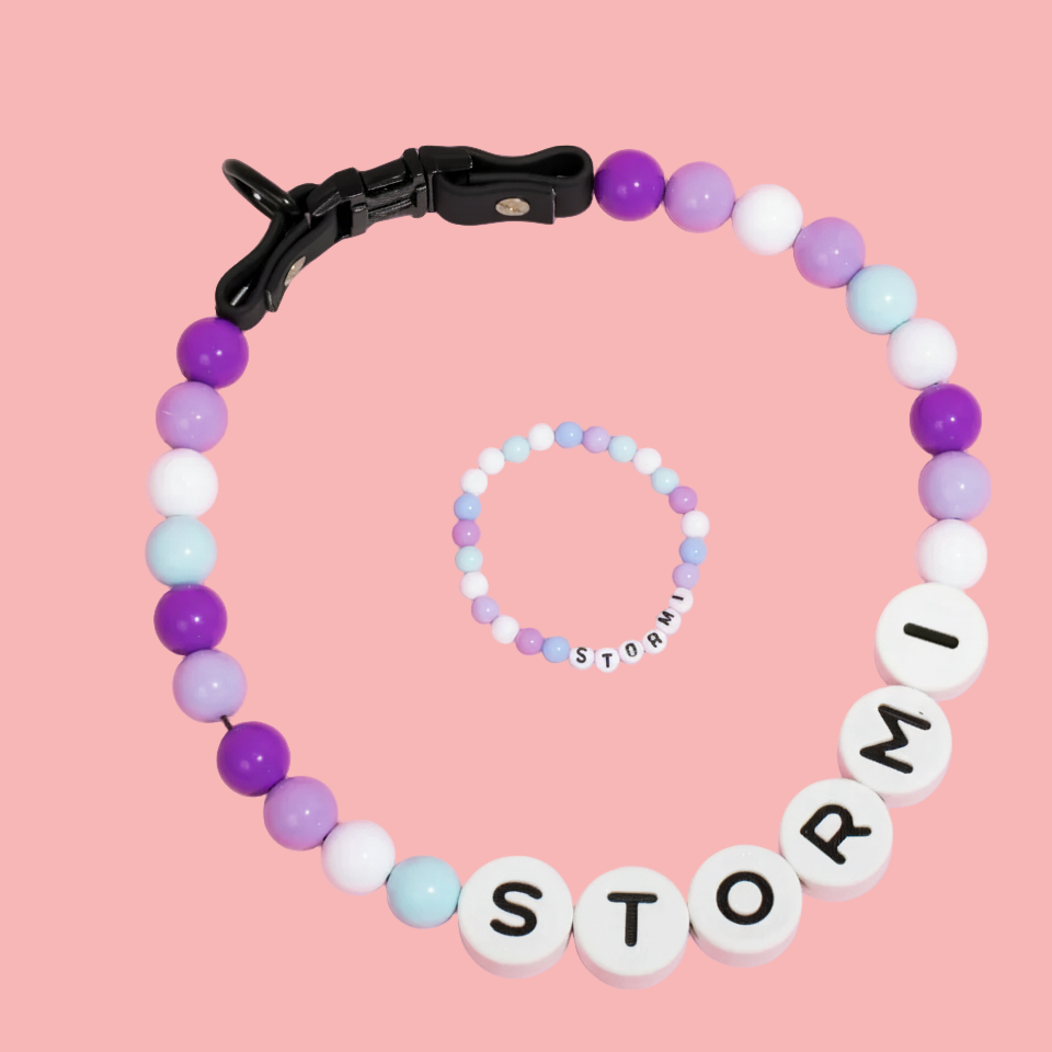 Personalization BFF Dog collar+ free Matching Bracelet