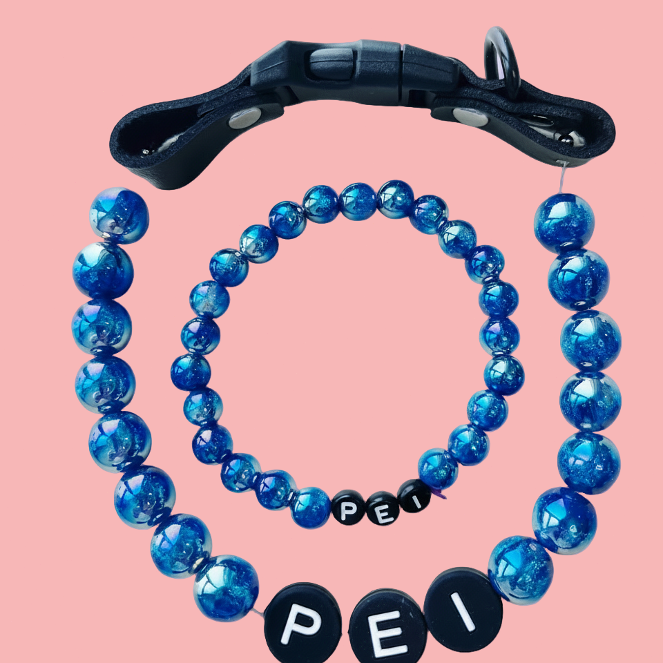 Personalization BFF Dog collar+ free Matching Bracelet