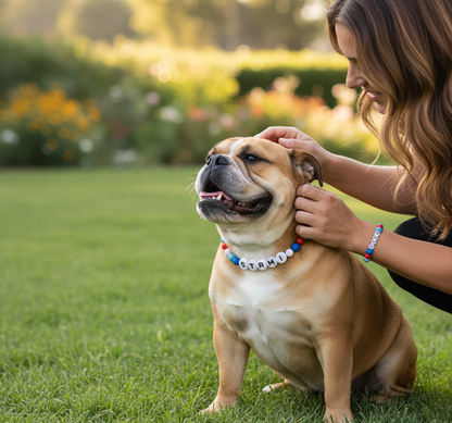 Sunset Seaside - Personalization BFF Dog Collar+ Free Matching Bracelet