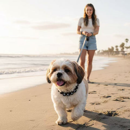 Midnight - Personalization BFF Dog Collar+ Free Matching Bracelet