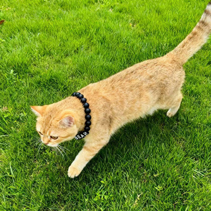 Midnight - Personalization BFF Dog Collar+ Free Matching Bracelet