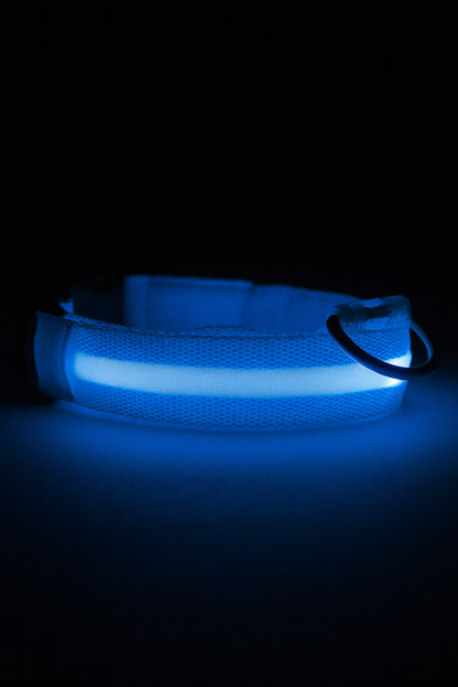 PETAWY™ LED Dog Collar