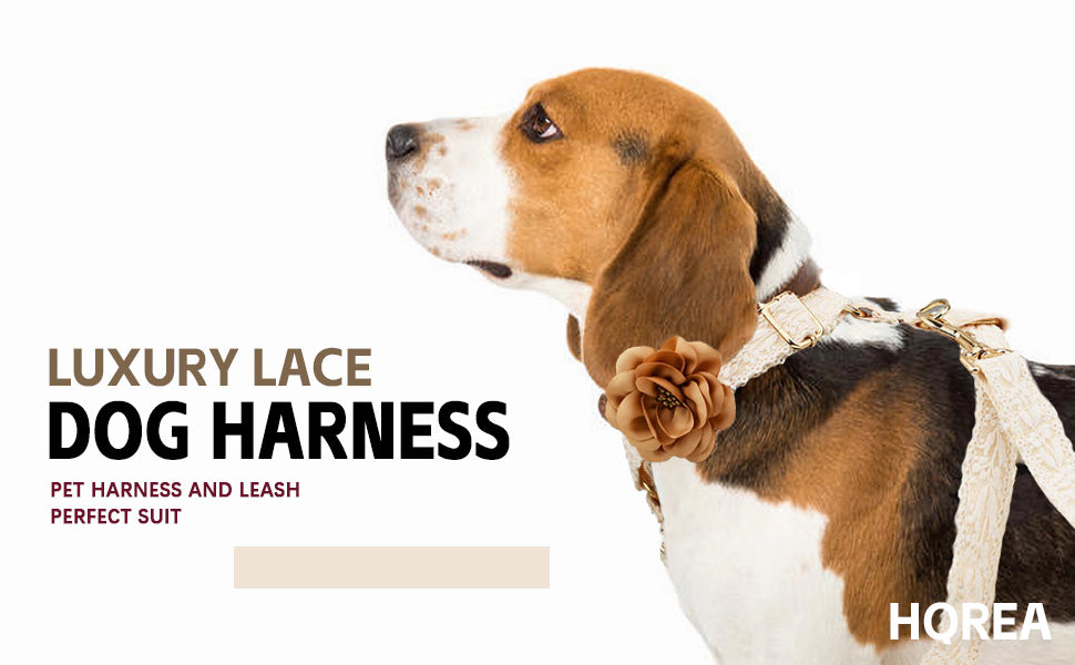 [Custom] Large/Medium/Small Dog Collar With Quick Release Clasp - Adjustable Collar With Stylish Floral Strap Collar Lead Rope Lace Collar Durable And Comfortable
