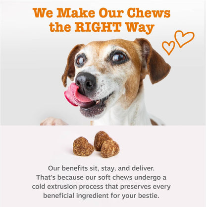 Zesty Paws Multivitamin Treats for Dogs, Glucosamine Chondroitin Joint Support + Digestive Enzymes & Probiotics, Grain Free Dog Vitamins and Supplements for Skin & Coat - 90ct