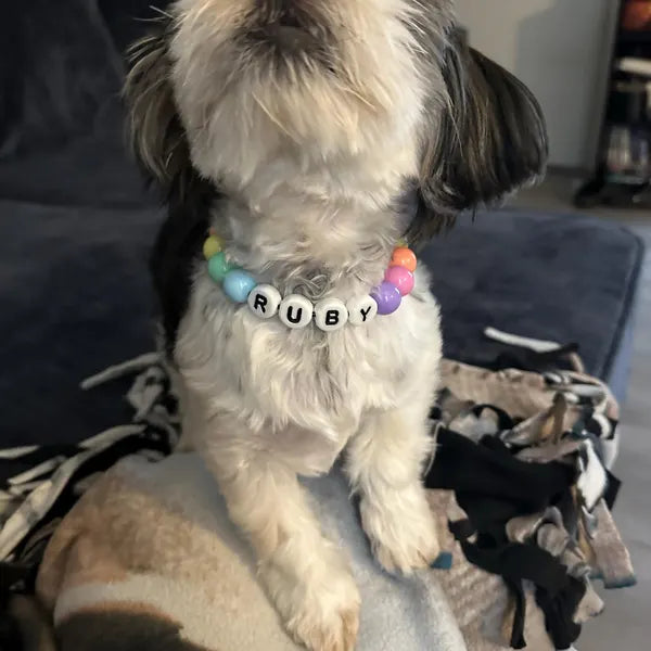 Personalization BFF Dog collar+ free Matching Bracelet