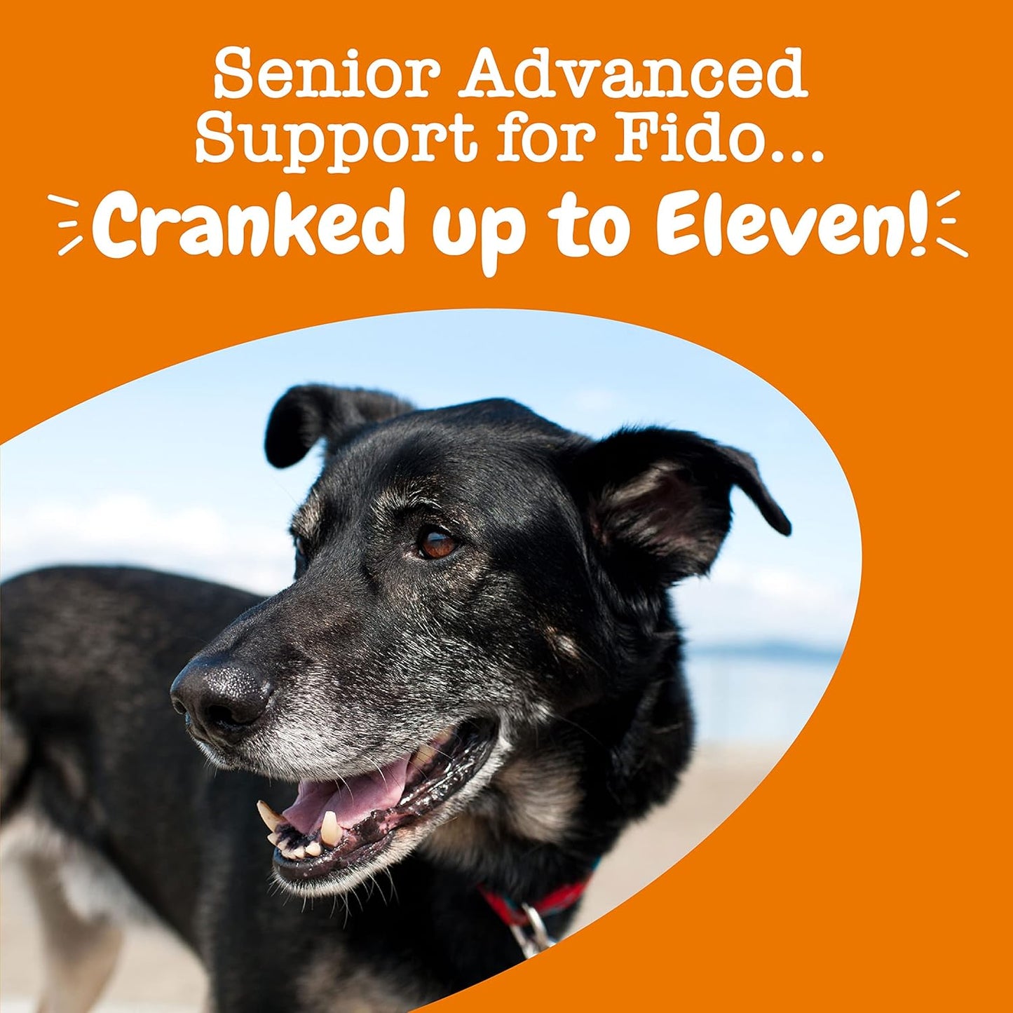 Zesty Paws Multivitamin Treats for Dogs, Glucosamine Chondroitin Joint Support + Digestive Enzymes & Probiotics, Grain Free Dog Vitamins and Supplements for Skin & Coat - 90ct