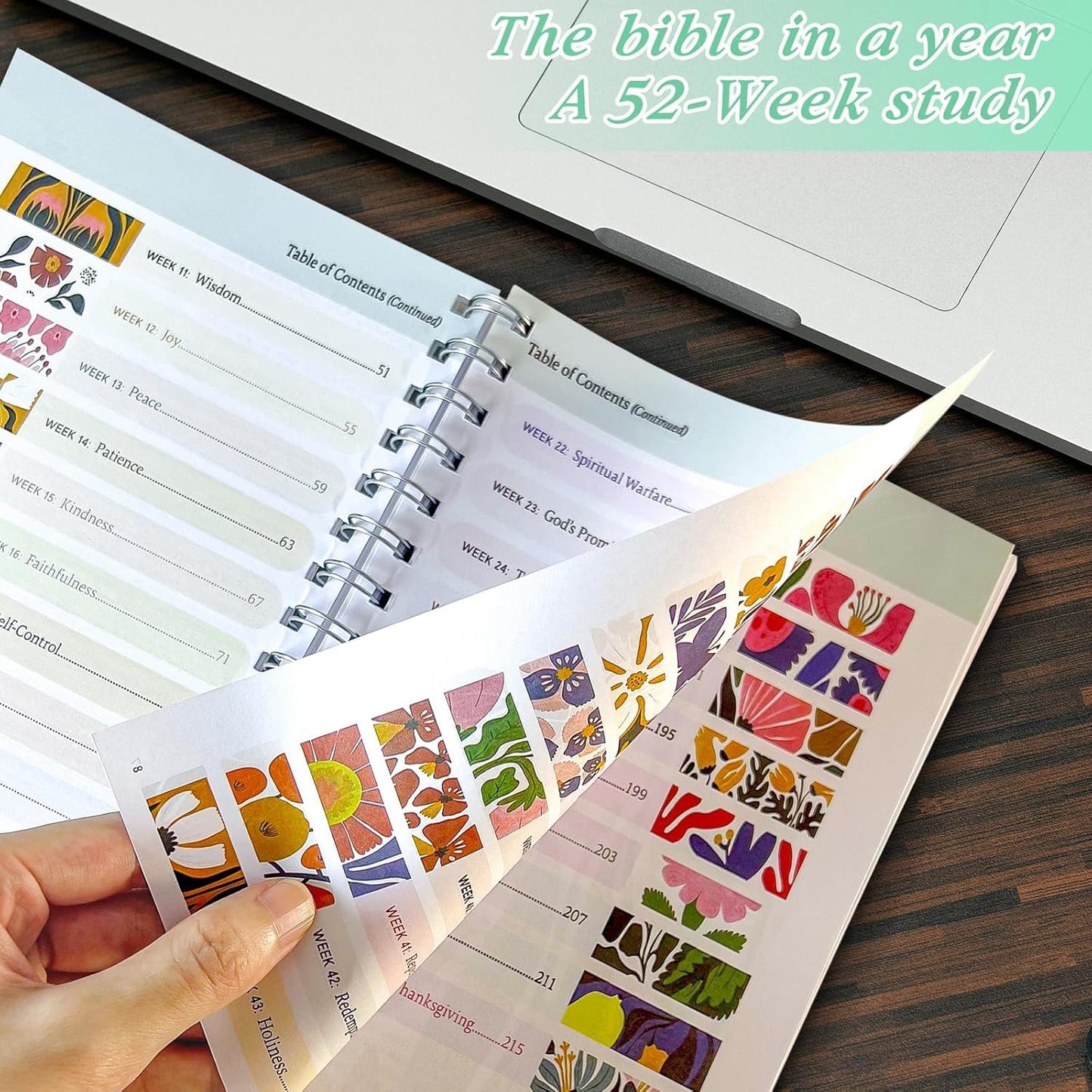 2026 The Bible in a Year: 52-Week Guided study