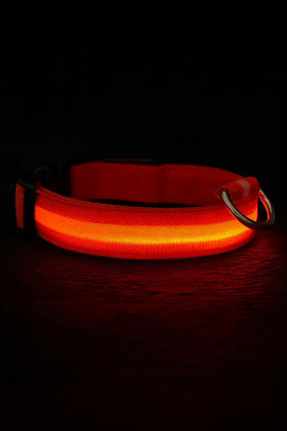 PETAWY™ LED Dog Collar