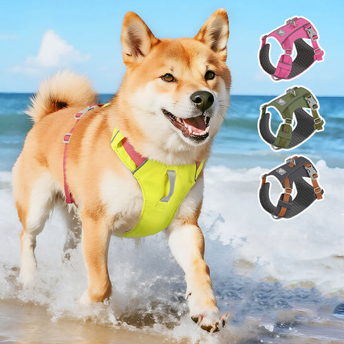 Dog leash and harness set, anti-escape and breathable, suitable for small and medium-sized dogs, with an extendable leash.