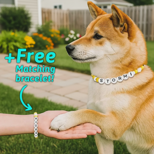 Personalization BFF Dog collar+ free Matching Bracelet