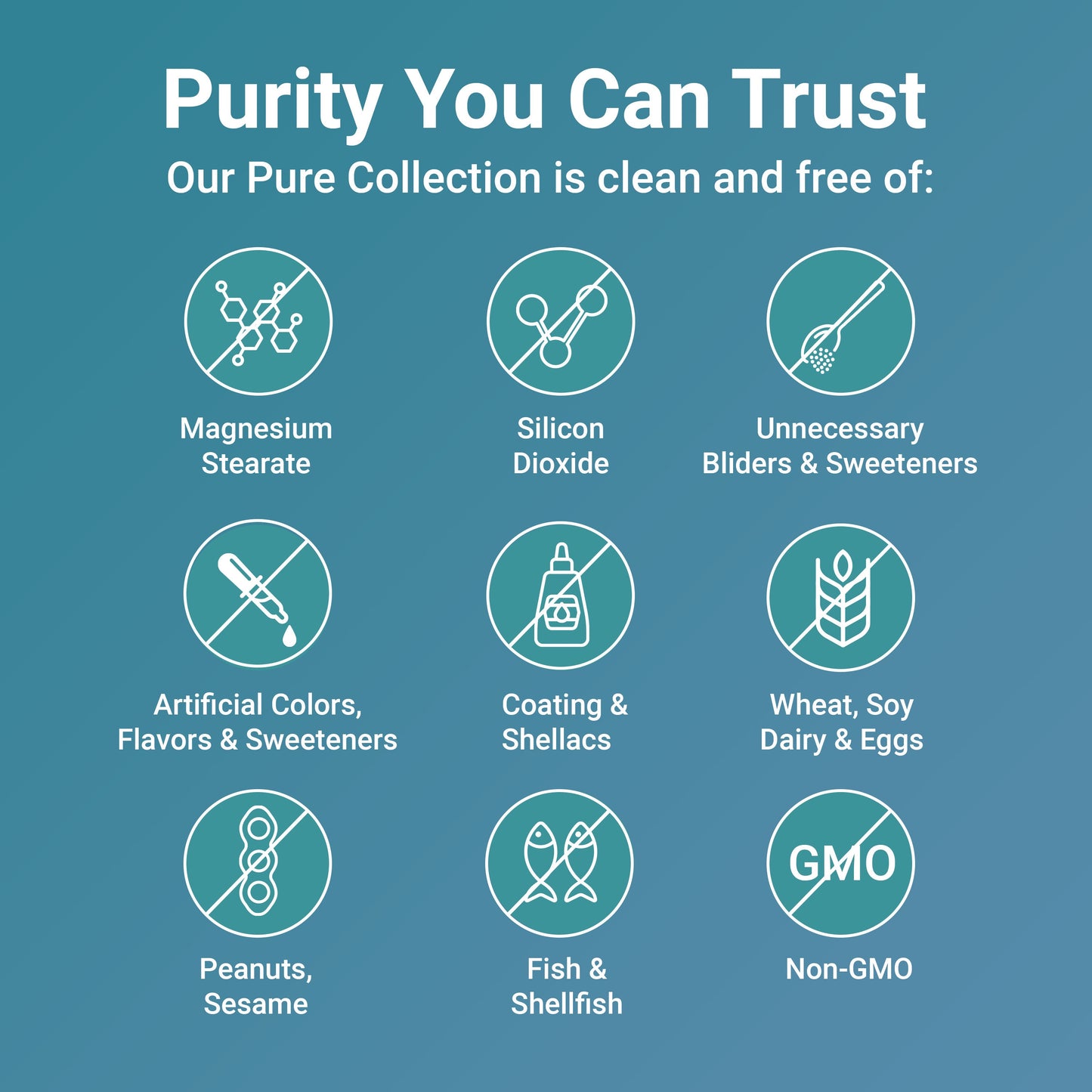 Micro Ingredients Turmeric Curcumin 1,000mg | 95% Curcuminoids with Black Pepper & MCT Oil for Ultimate Absorption, No Filler, No GMO - 120 Vegetarian Capsules