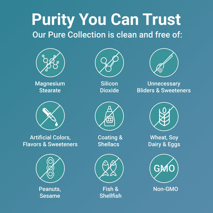 Micro Ingredients Turmeric Curcumin 1,000mg | 95% Curcuminoids with Black Pepper & MCT Oil for Ultimate Absorption, No Filler, No GMO - 120 Vegetarian Capsules